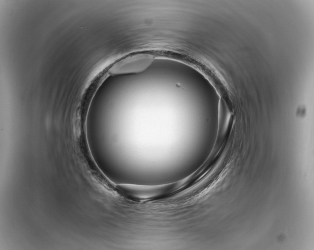 X0000099531069200805161206