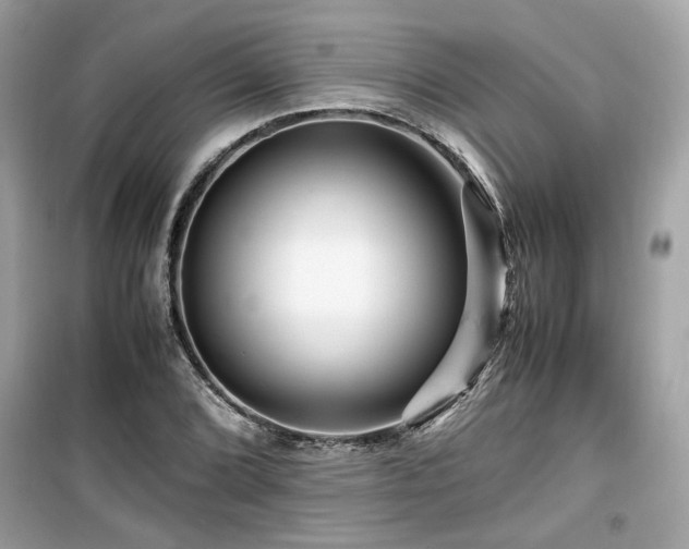 X0000099531072200805161206
