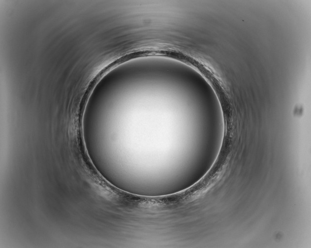 X0000099531073200805161206