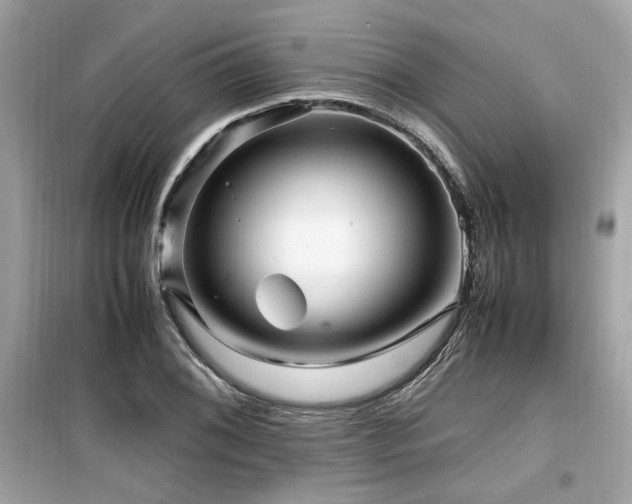X0000099531076200805161205