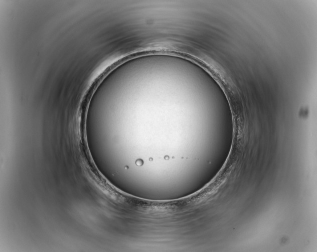 X0000099531078200805161205