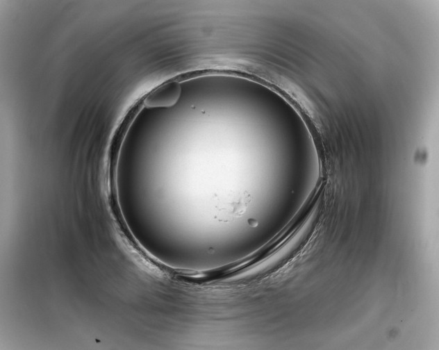 X0000099531080200805161205