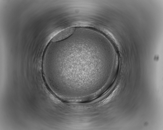 X0000099531081200805161205
