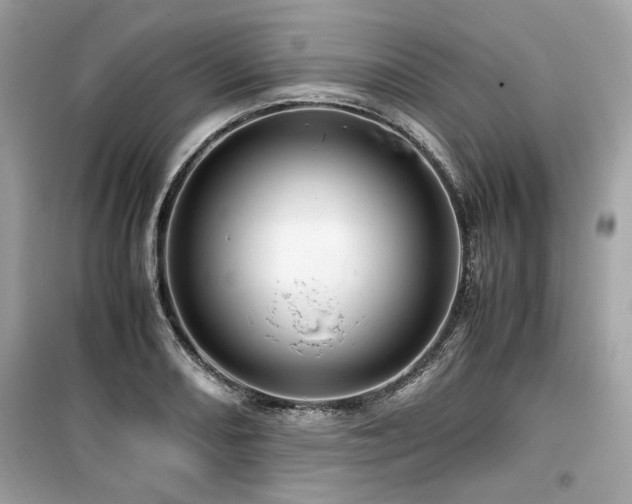 X0000099531082200805161205