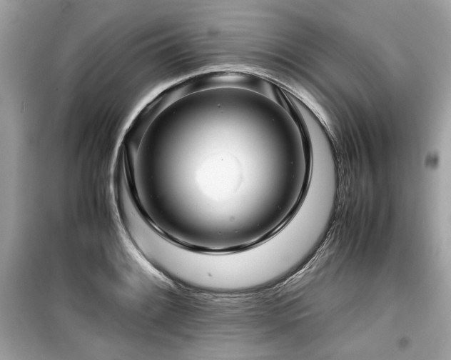 X0000099531084200805161205