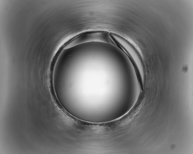 X0000099531085200805161205
