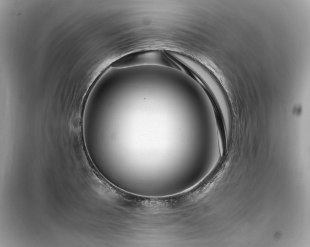 X0000099531089200805161205