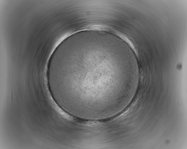 X0000099531091200805161205