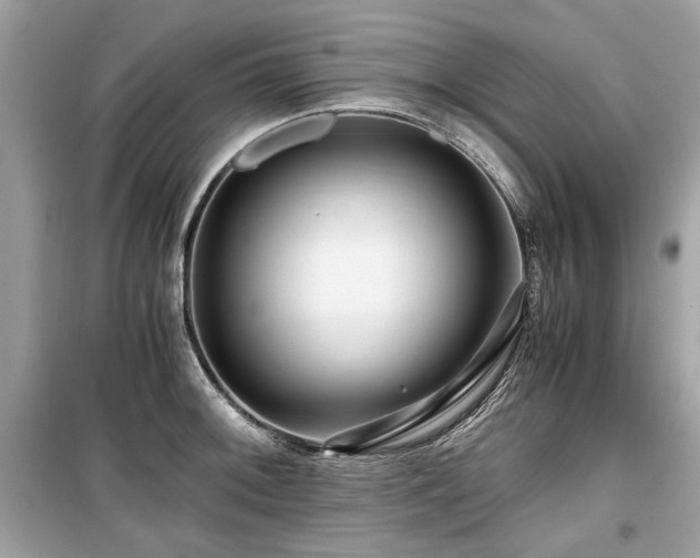 X0000099531092200805161205