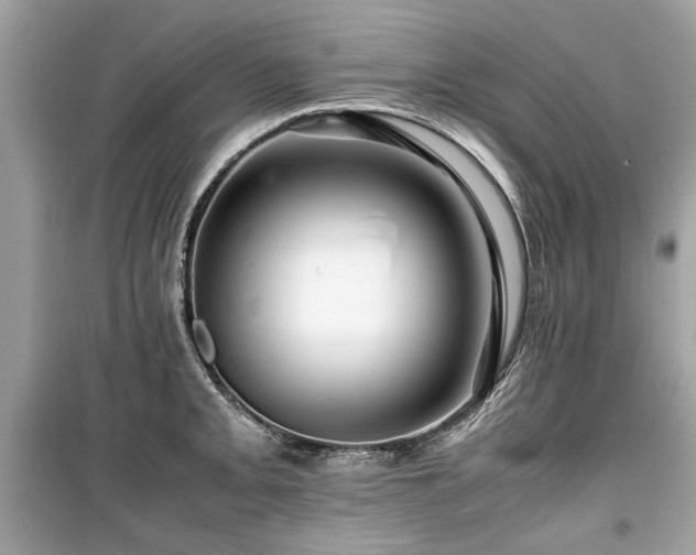 X0000099531093200805161205