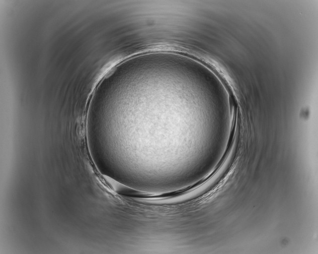 X0000099531097200805161205