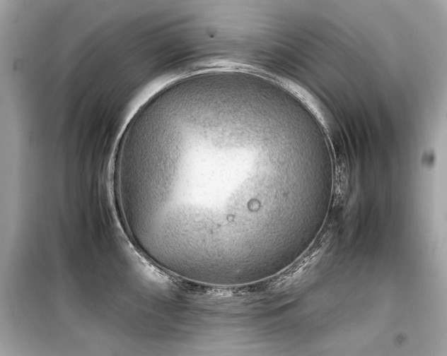 X0000099531098200805161205
