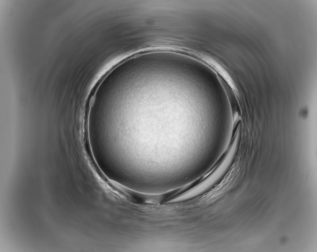 X0000099531101200805161205
