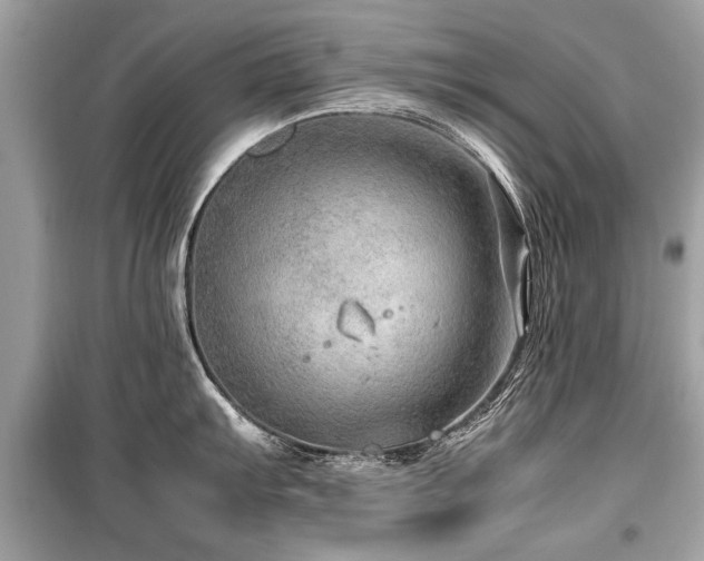 X0000099531103200805161205