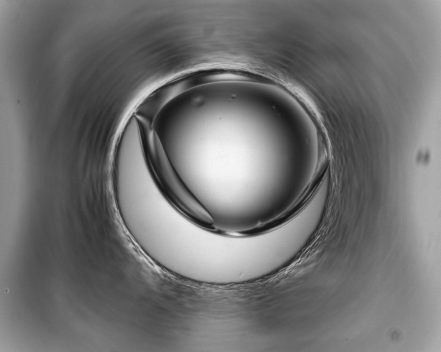 X0000099531104200805161205