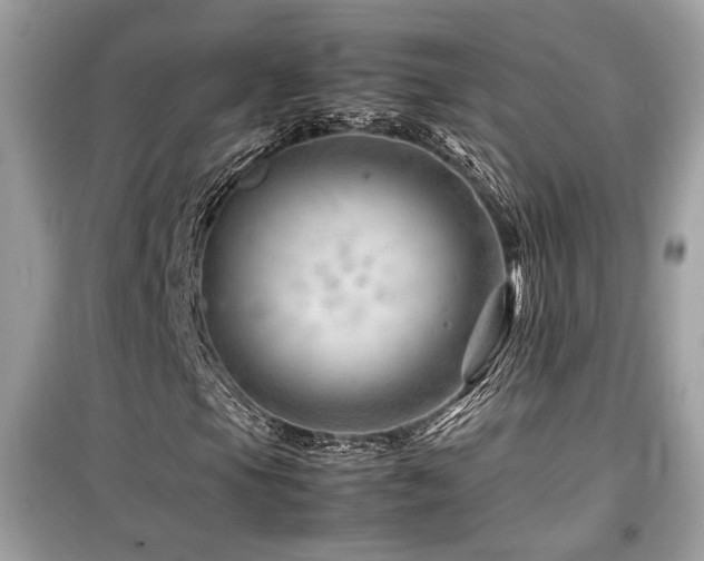 X0000099531105200805161204