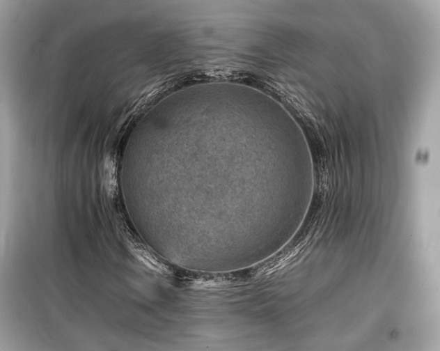 X0000099531106200805161204