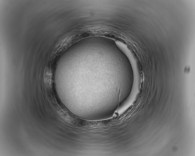 X0000099531108200805161204