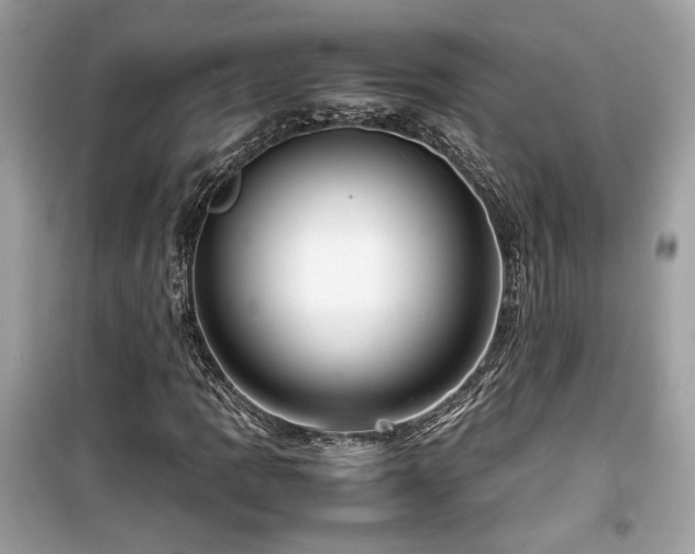 X0000099531109200805161204