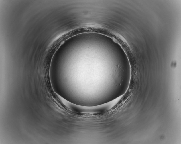 X0000099531112200805161204