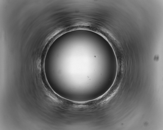 X0000099531113200805161204