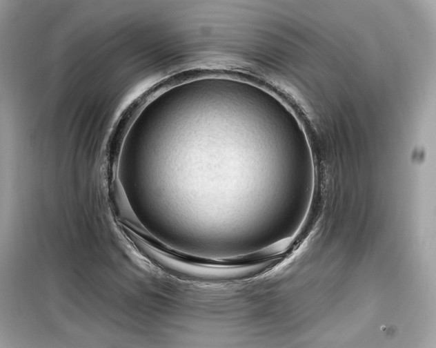 X0000099531114200805161204