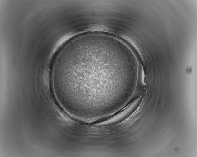 X0000099531115200805161204