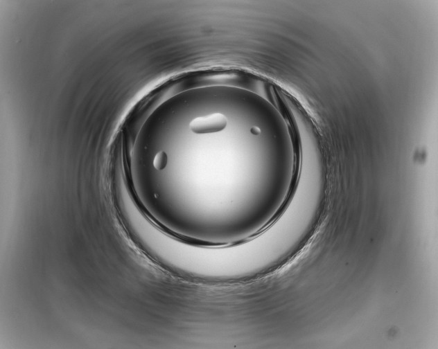 X0000099531118200805161204