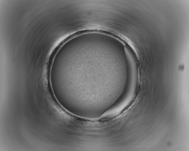 X0000099531120200805161204