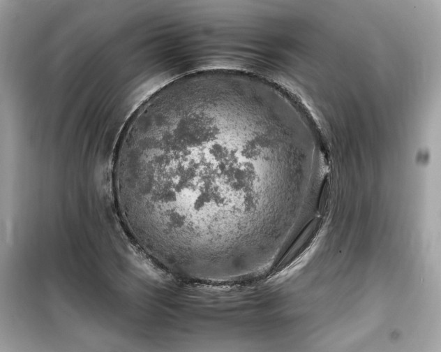 X0000099531121200805161204