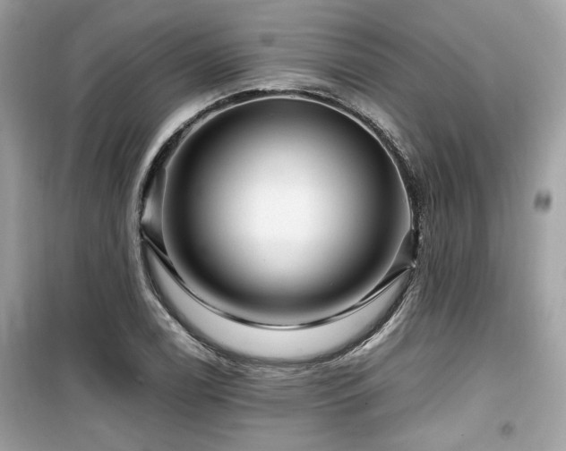 X0000099531122200805161204