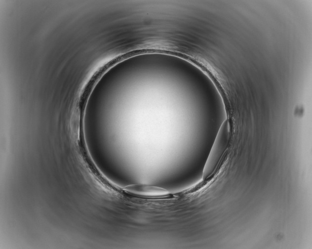 X0000099531123200805161205