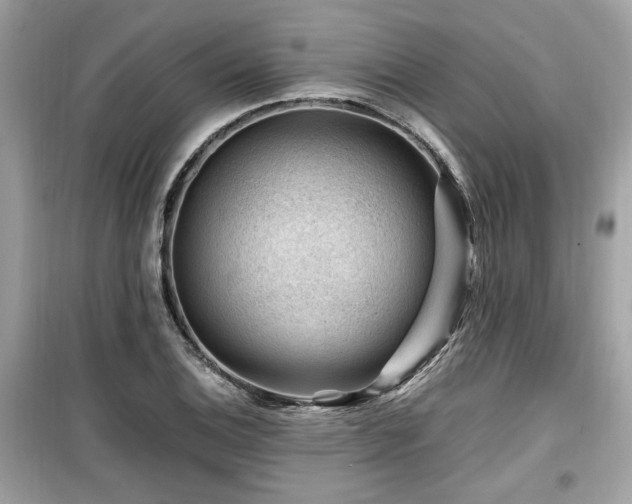 X0000099531124200805161205