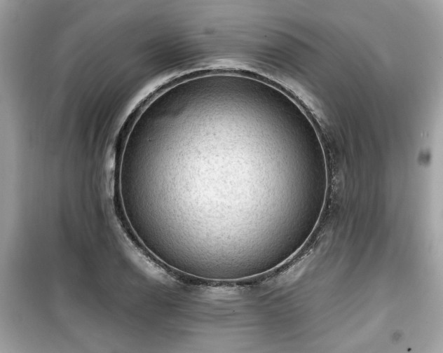X0000099531126200805161205