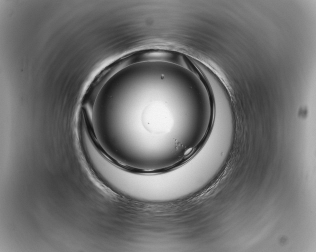 X0000099531128200805161205