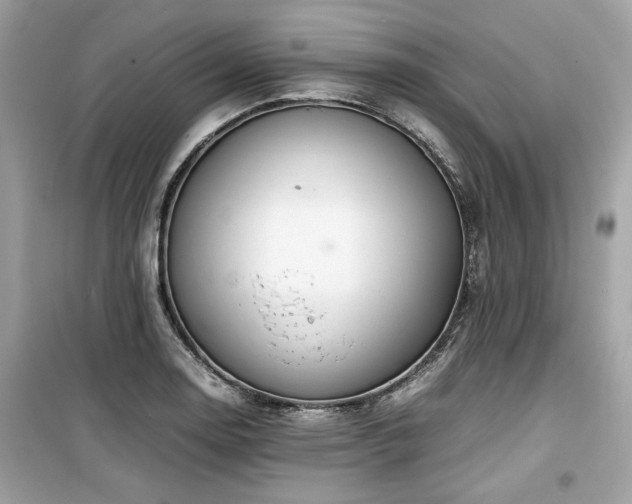 X0000099531130200805161205