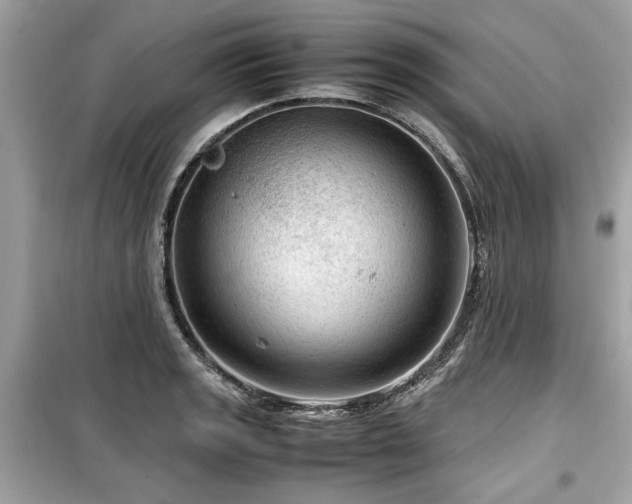 X0000099531133200805161205