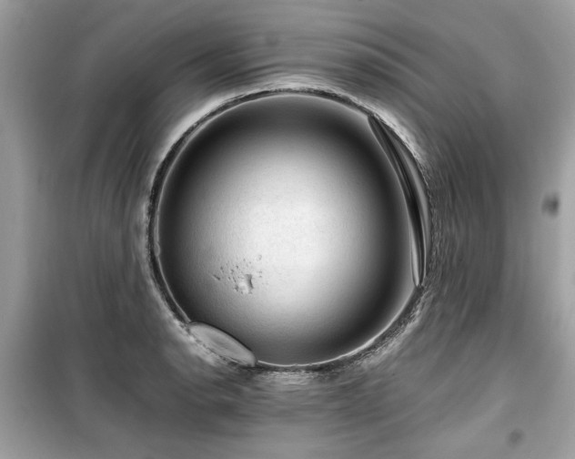 X0000099531134200805161205