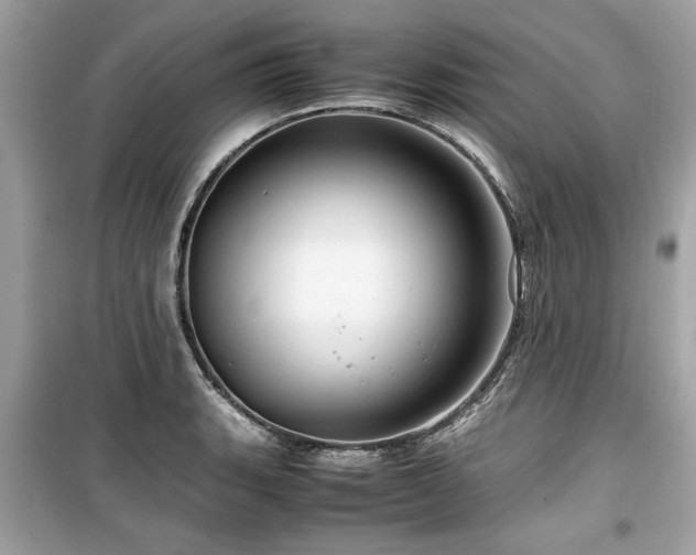 X0000099531135200805161205