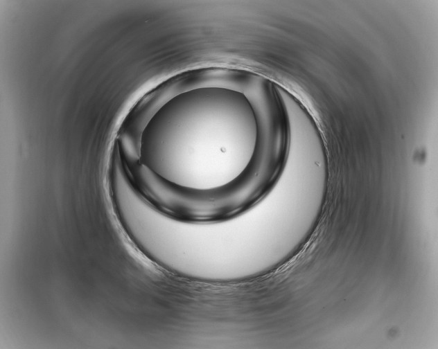 X0000099531136200805161205