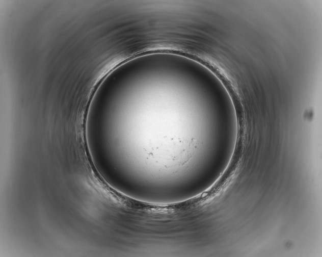 X0000099531137200805161205