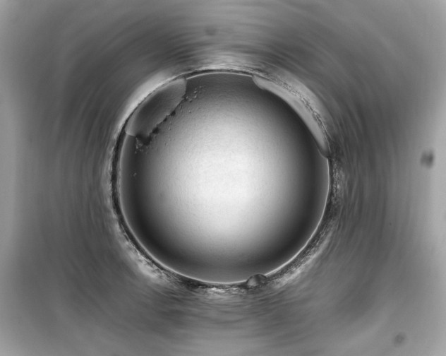 X0000099531138200805161205