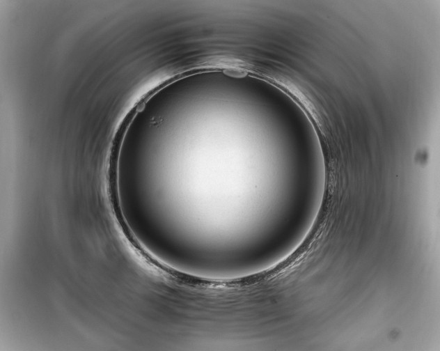 X0000099531139200805161205