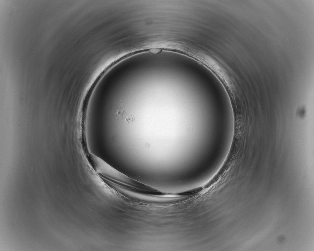 X0000099531140200805161205
