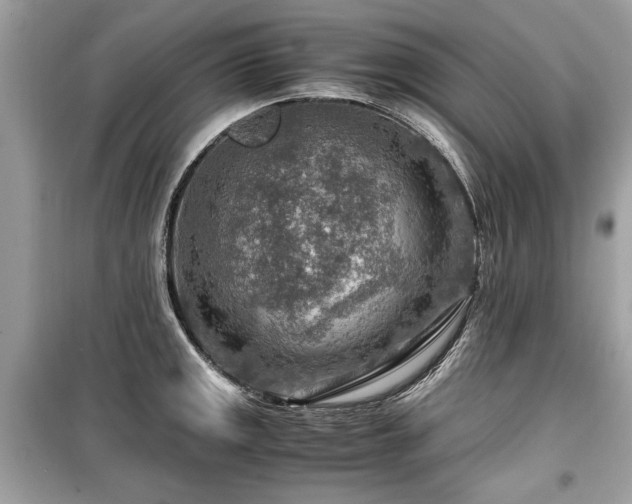 X0000099531141200805161205