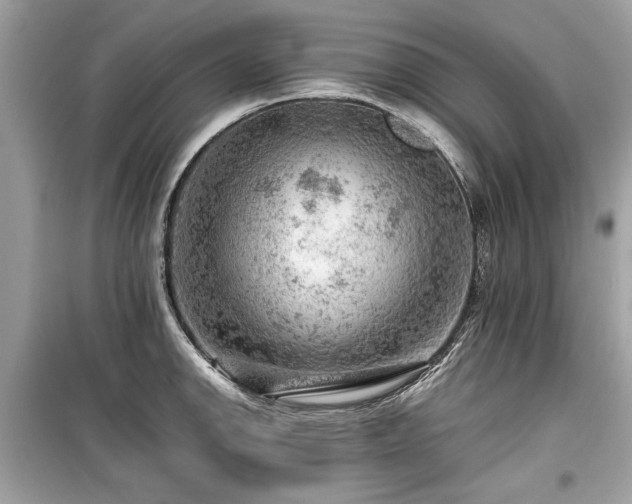 X0000099531142200805161205