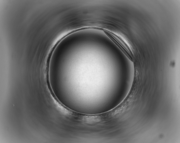 X0000099531143200805161205