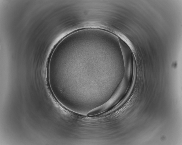 X0000099531144200805161205
