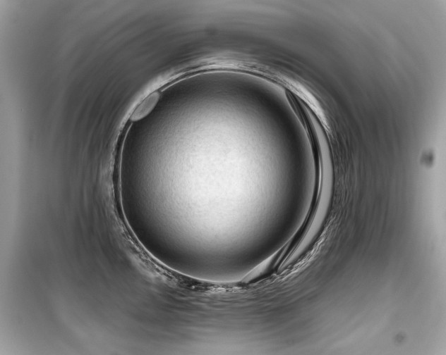 X0000099531146200805161205