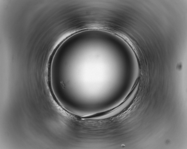 X0000099531147200805161205